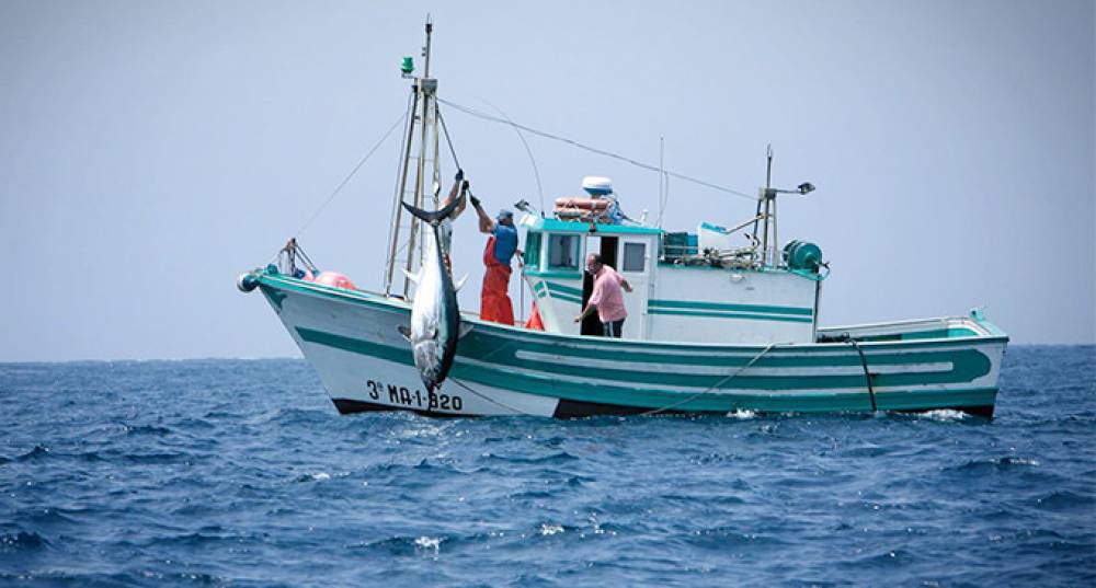 Accord de pêche entre le Maroc et l'UE: l'Espagne octroie des aides directes aux pêcheurs impactés