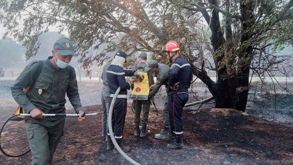 Incendies de Forêts : risque "moyen" à "extrême" dans plusieurs provinces mardi et mercredi