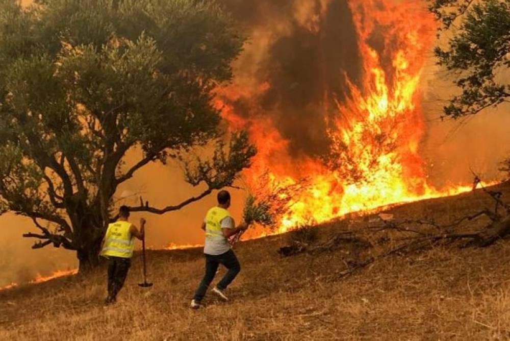 Algérie : 15 morts et 26 blessés graves dans un incendie forestier