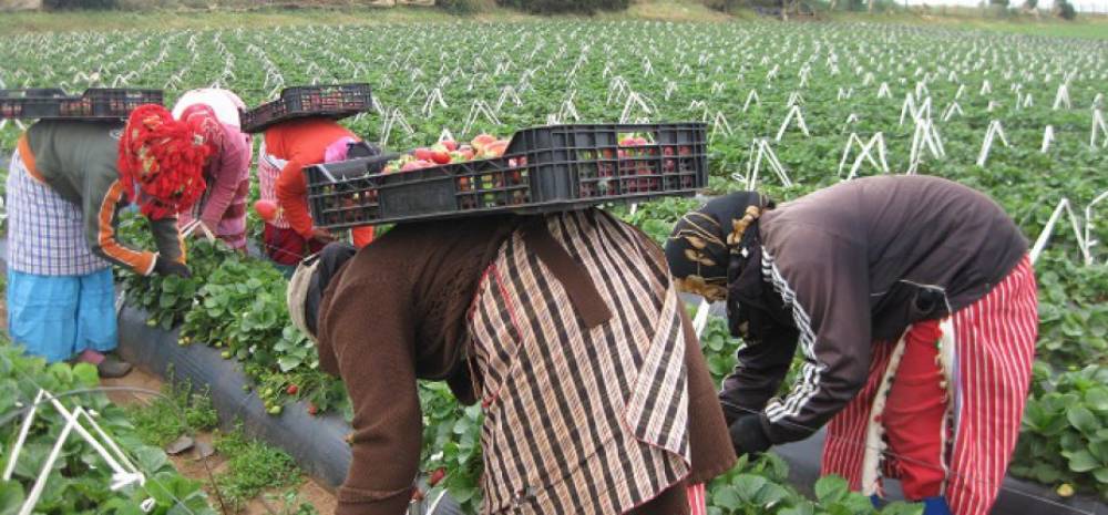 Le développement de l’agriculture africaine en débat à Casablanca