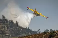 Incendie à Taza : 30 hectares de forêt dévastés