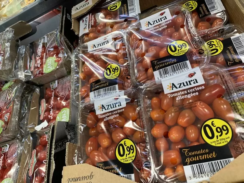 Dénigrement de la tomate marocaine : Azura se défend face aux producteurs français