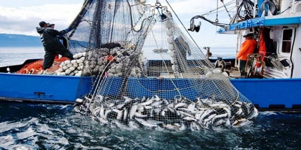 ONP : Hausse de 13% des débarquements de pêche au S1-2025