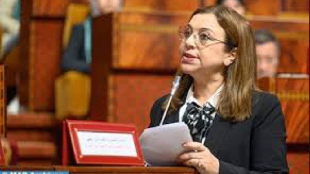 Préparation d'un projet de système d’information intégré pour le suivi des enfants dans le processus de protection (Ministre)