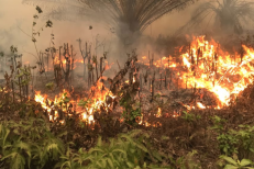 Incendie en Espagne: Deux morts et des milliers de personnes confinées en pleine canicule
