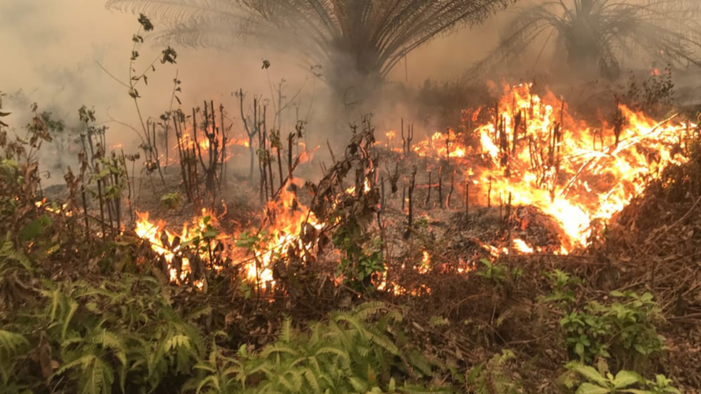 Incendie en Espagne: Deux morts et des milliers de personnes confinées en pleine canicule