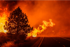 Turquie: Violents incendies aux portes de Bursa
