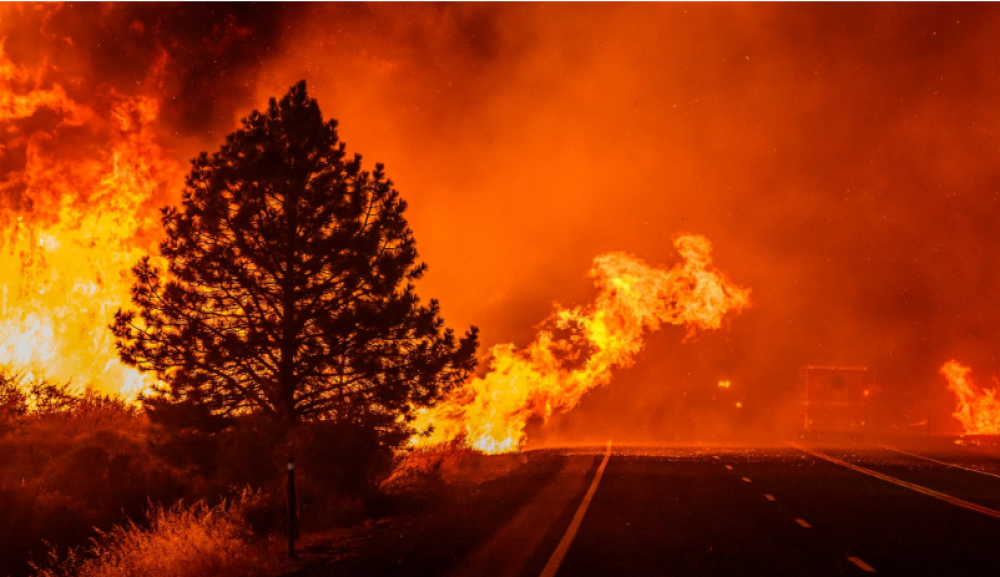 Turquie: Violents incendies aux portes de Bursa