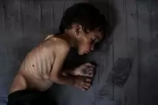 Gaza : Une personne sur trois confrontée à une faim extrême (PAM)