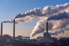 Marchés carbone : le Maroc lance le "Green Assets Cluster"