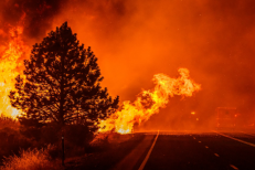 La Turquie enregistre plus de 700 incendies en dix jours