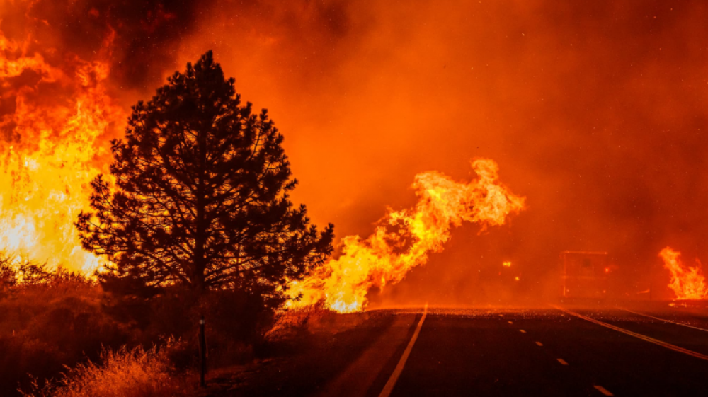 La Turquie enregistre plus de 700 incendies en dix jours