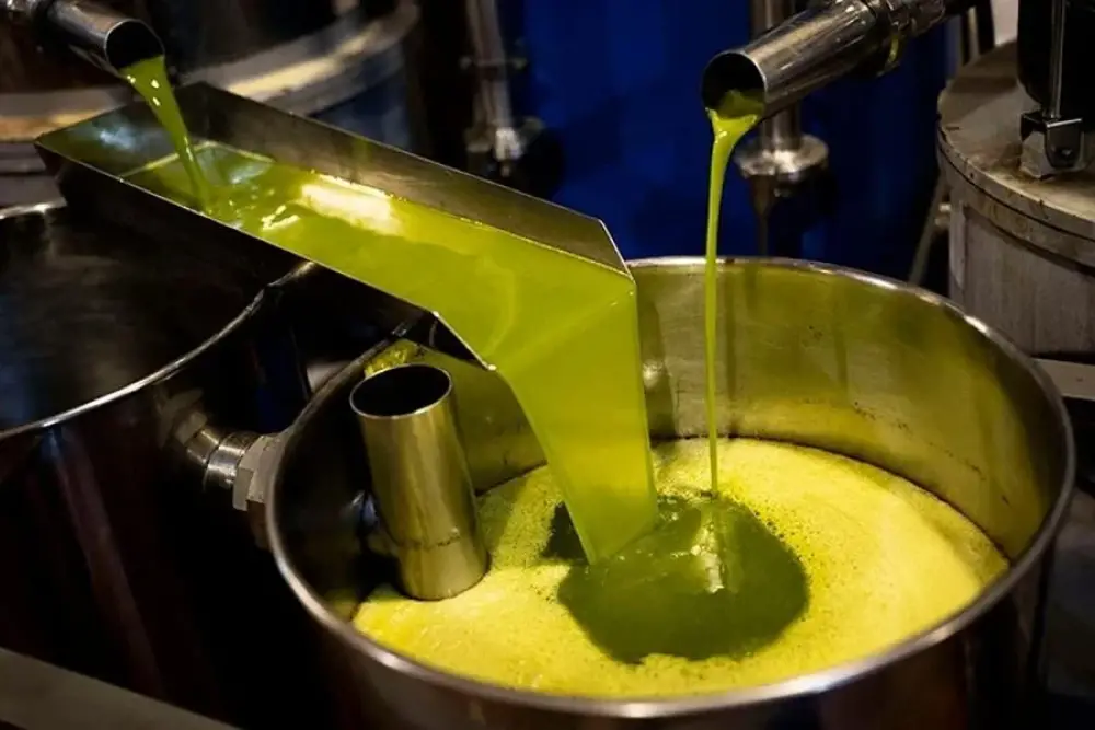 Le Maroc devient le nouvel acteur clé de l’huile d’olive en Espagne