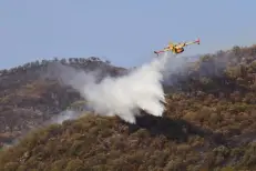 Les incendies se multiplient dans plusieurs régions du Maroc en raison des fortes chaleurs