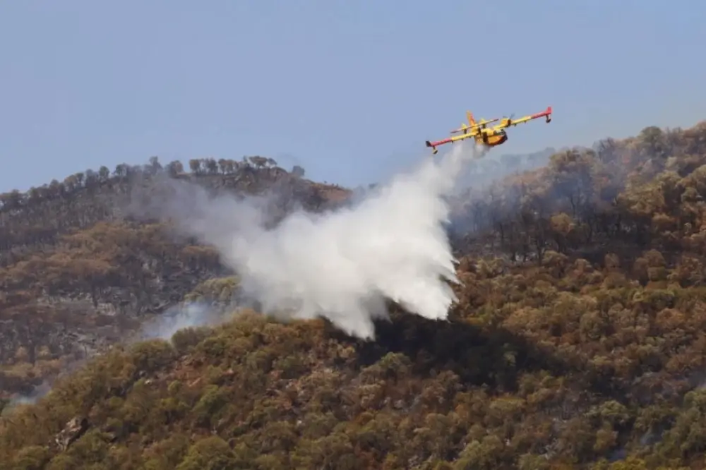 Les incendies se multiplient dans plusieurs régions du Maroc en raison des fortes chaleurs