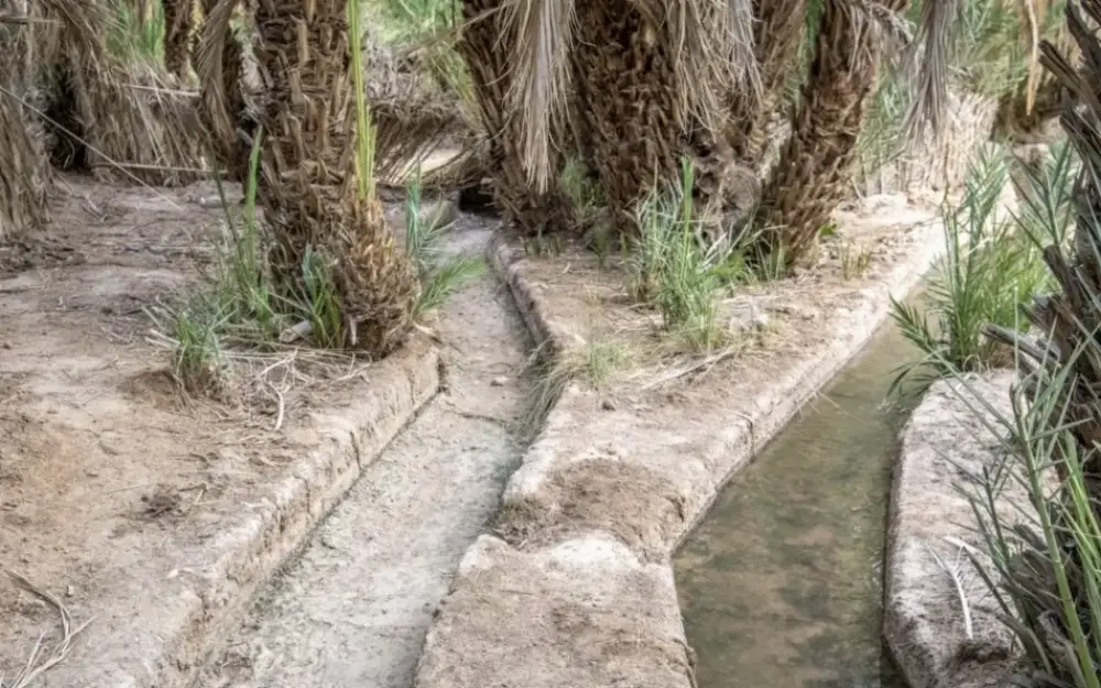 Un projet innovant mise sur l'IA pour moderniser les khettaras et optimiser la gestion des eaux souterraines