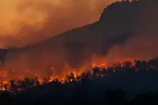 France : plusieurs départements en alerte maximale face aux feux de forêt
