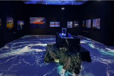 Exposition. Hind Lahrichi dévoile «Transatlantique d’une vie» à Tanger