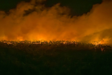 Forêt de Fontainebleau : l'incendie a déjà parcouru plus de 2.000 ha et continue de progresser