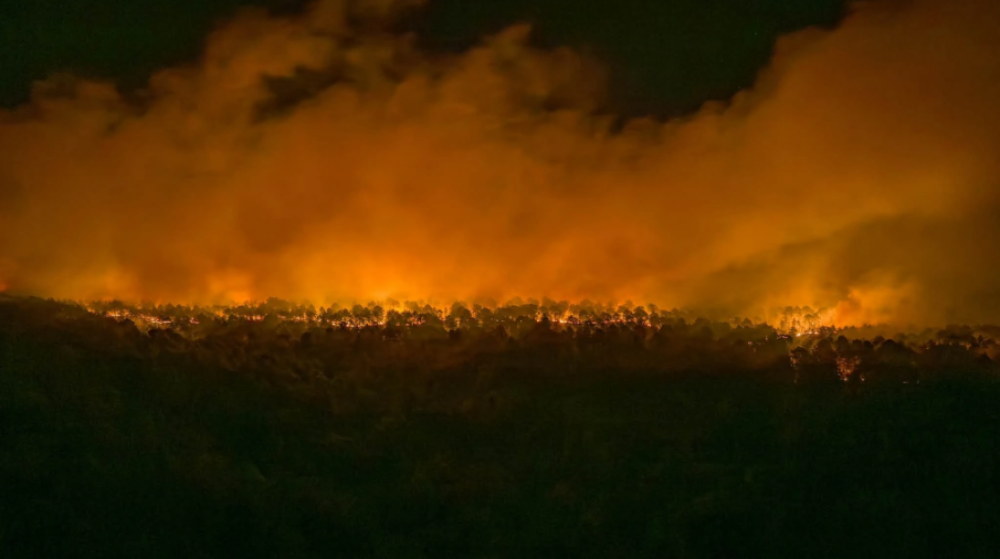 Forêt de Fontainebleau : l'incendie a déjà parcouru plus de 2.000 ha et continue de progresser