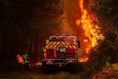 Feux de forêt en France : 308 interpellations liées à des départs d’incendie