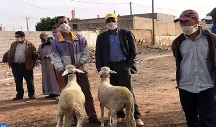 Rehamna : Ouverture du souk hebdomadaire de Sidi Bou Othmane aux éleveurs