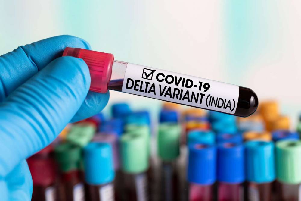 Une nouvelle mutation détectée sur le variant Delta : le Delta plus