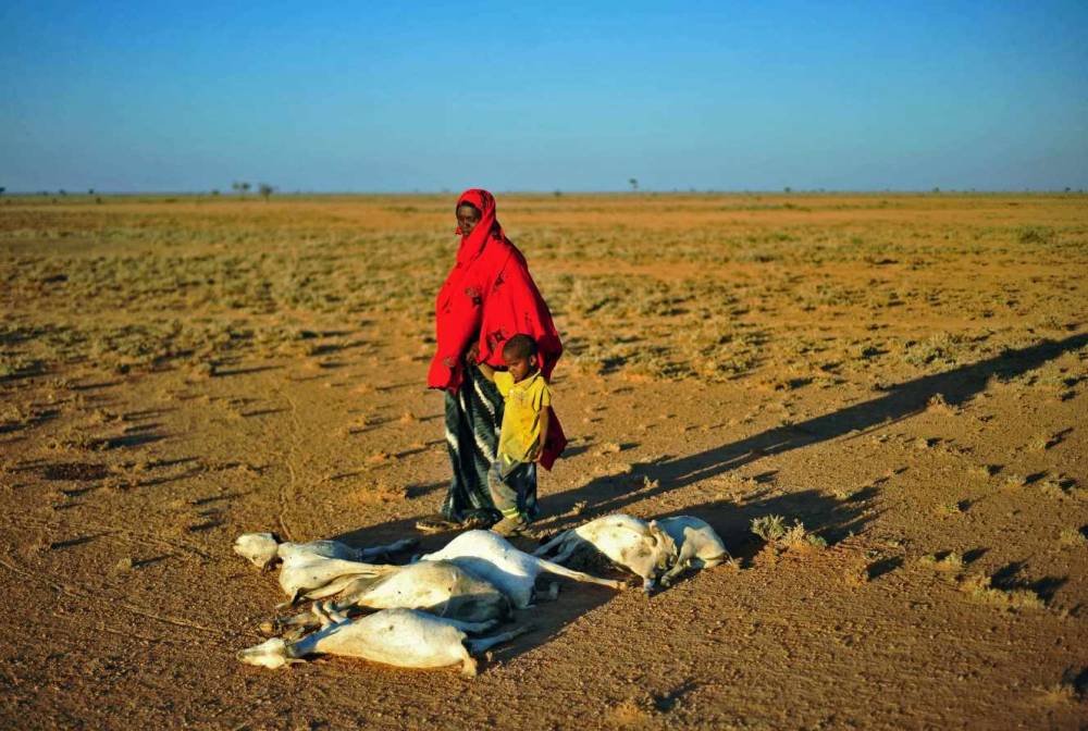 Dérèglement climatique : l’humanité à l’aube de retombées cataclysmiques, alerte un projet de rapport du GIEC