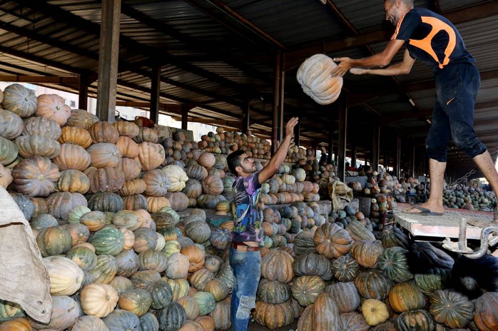 Tant attendue, la réforme des marchés de gros des fruits et légumes se met timidement en place