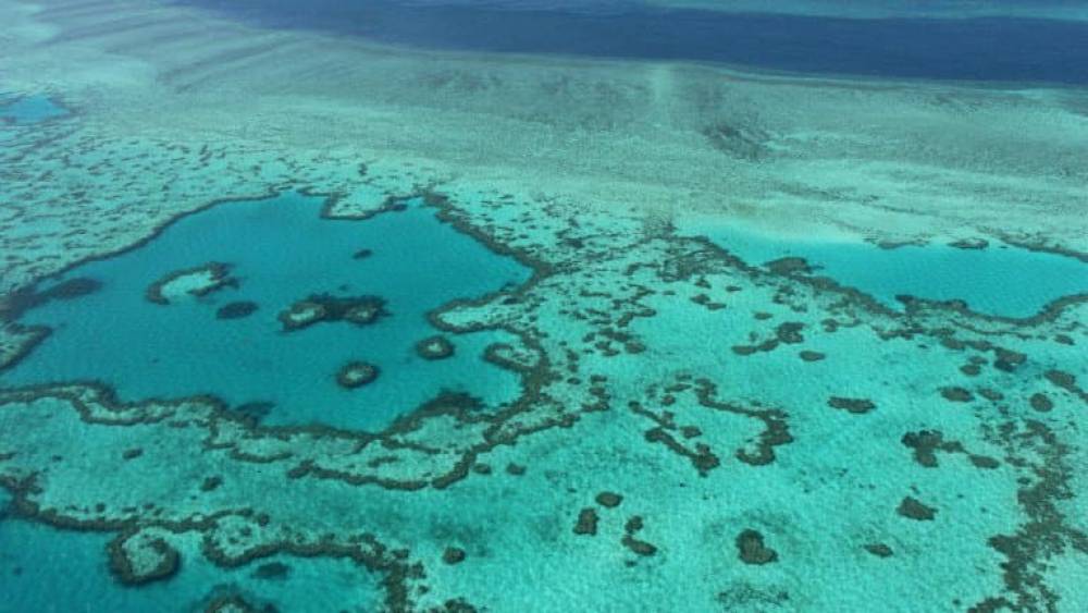 Grande Barrière de corail "en danger": l'Australie veut contester le projet de l'Unesco