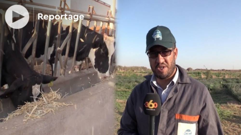 Laâyoune: de jeunes Sahraouis créent un espace agricole bio, le ministère de l'Agriculture s'y intéresse