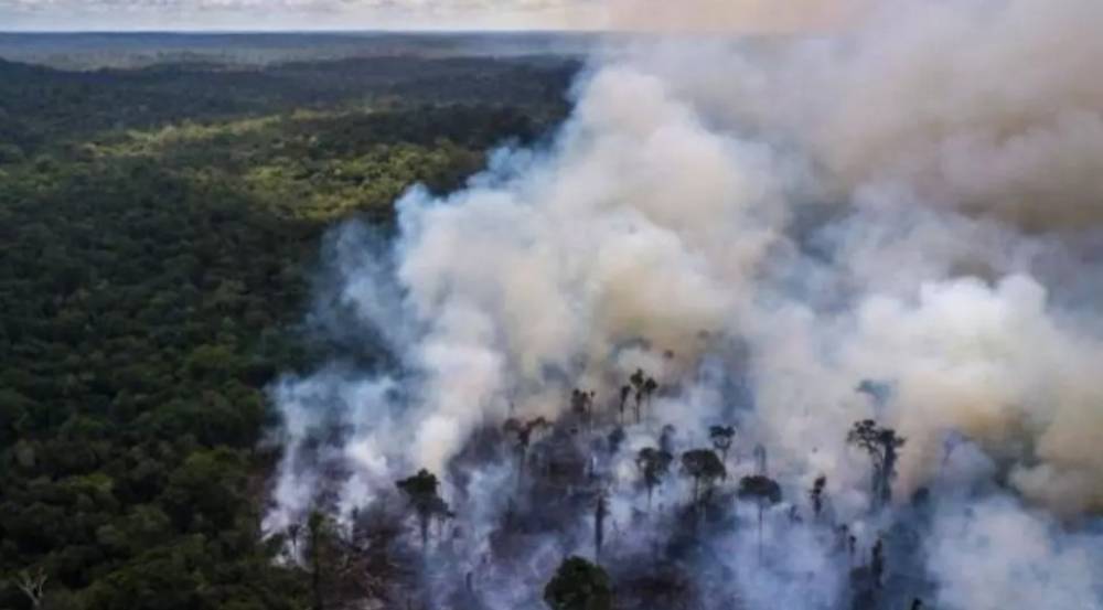 Brésil: démission de Ricardo Salles, le polémique ministre de l'Environnement