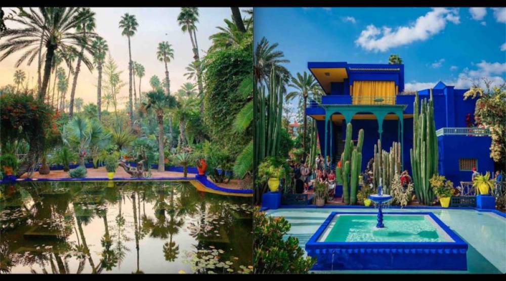 Le jardin Majorelle à Marrakech 2e du classement des jardins les plus photographiés au monde selon Instagram