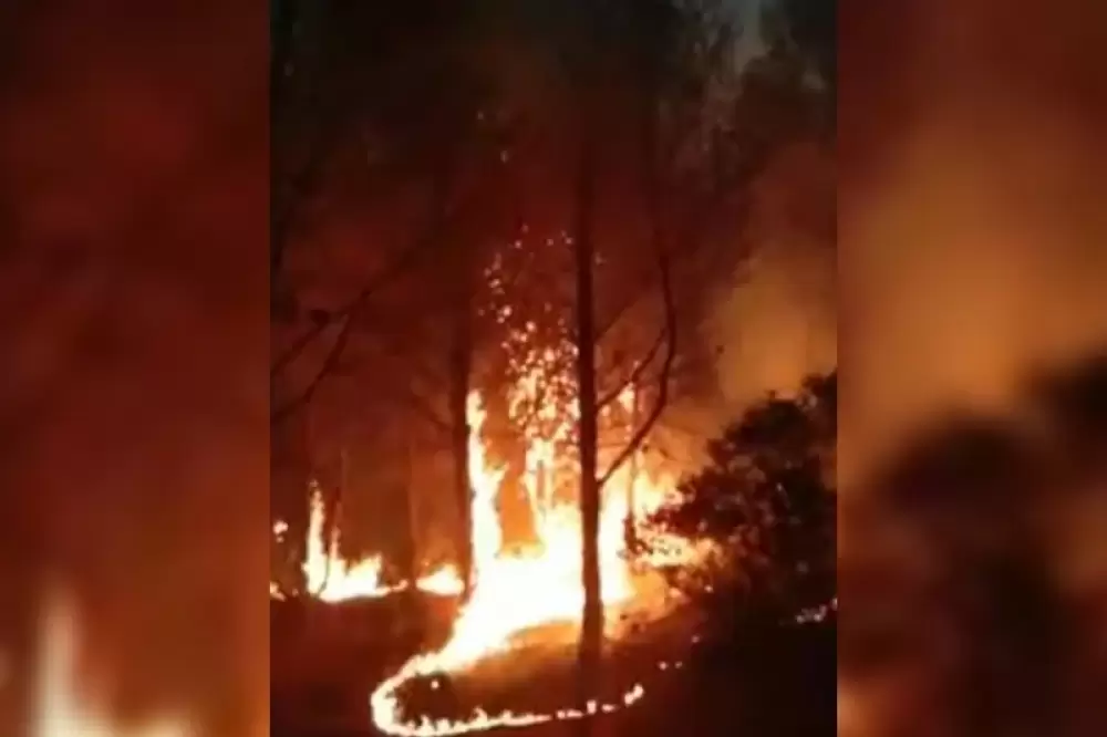 Important incendie à Taza, plusieurs centaines d'hommes et 3 Canadairs mobilisés