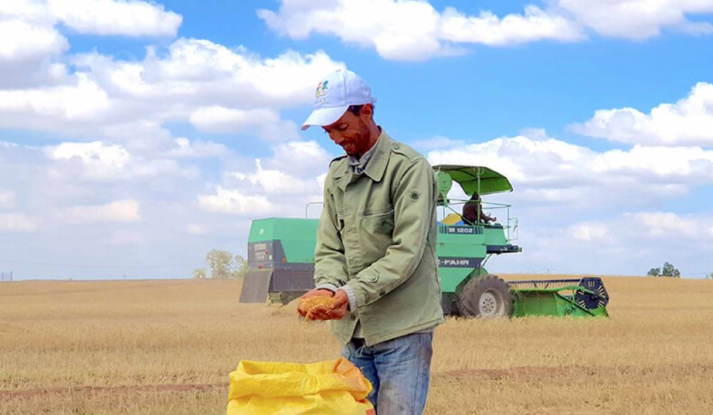 Al Moutmir : Une offre customisée de solutions innovantes pour mieux répondre aux besoins des agriculteurs