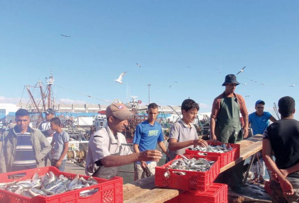 Le Maroc et le Japon en phase pour un nouvel accord de pêche