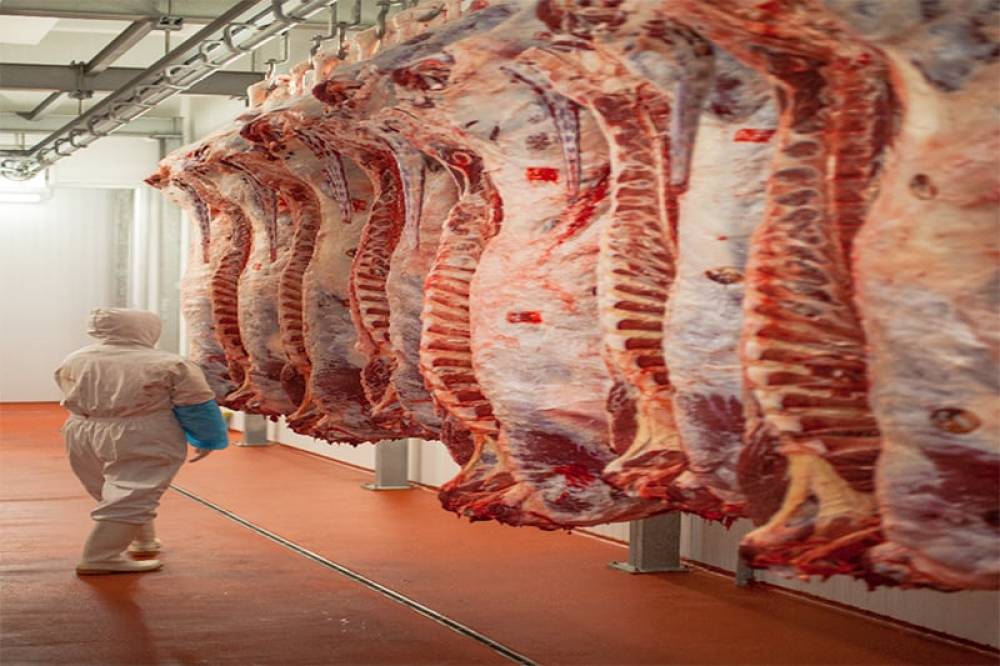 Abattoirs de Casablanca : Une réhabilitation en vue pour préserver le patrimoine