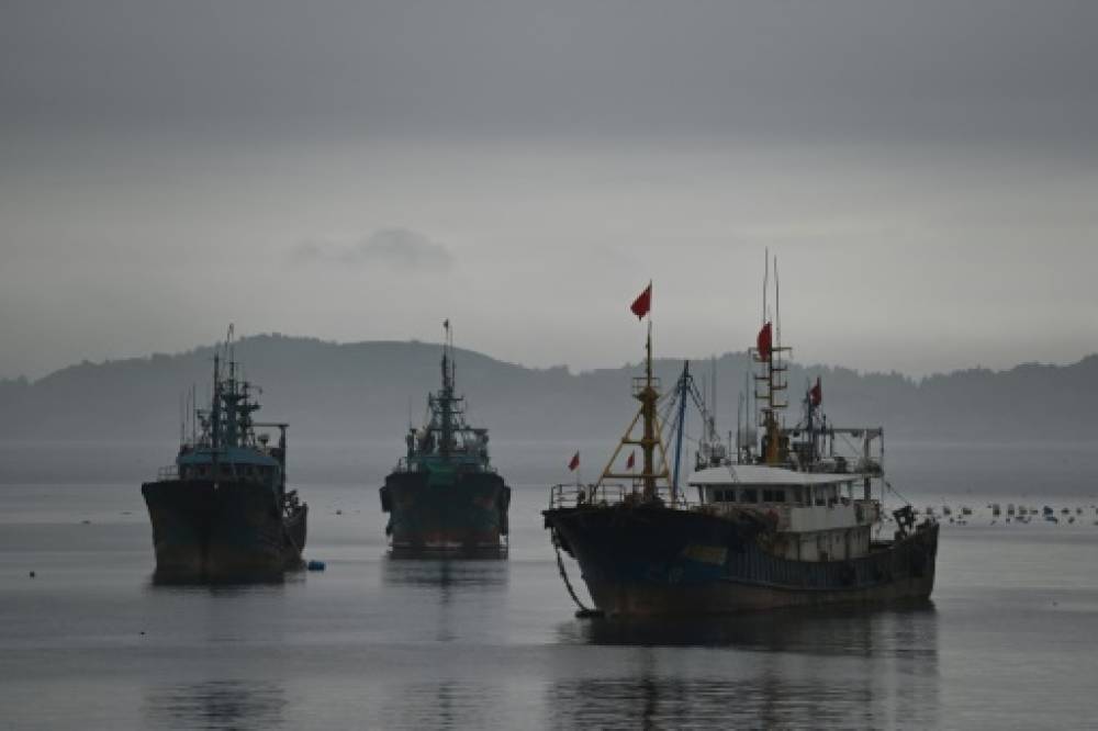 Nouveau record de la production mondiale des pêches et de l’aquaculture