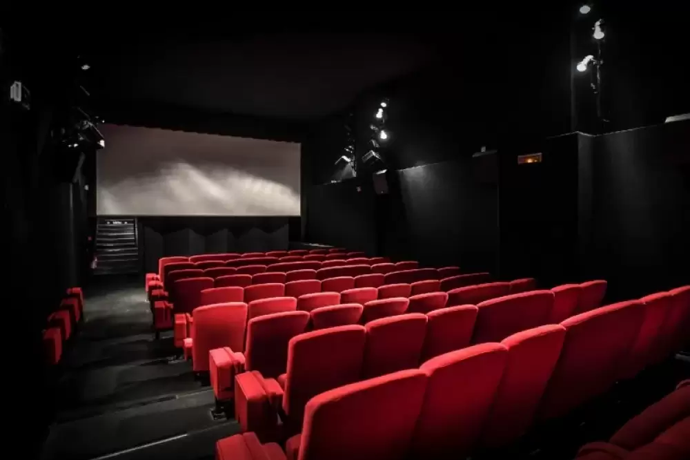 Loi-cinéma : Révolutionner l'industrie et encourager la production nationale