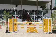 Le Concours officiel de saut d'obstacles 3 étoiles de la Garde Royale du 20 au 22 juin à Rabat