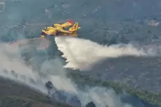 Le feu de forêt de Aïn Lahcen près de Tétouan maîtrisé
