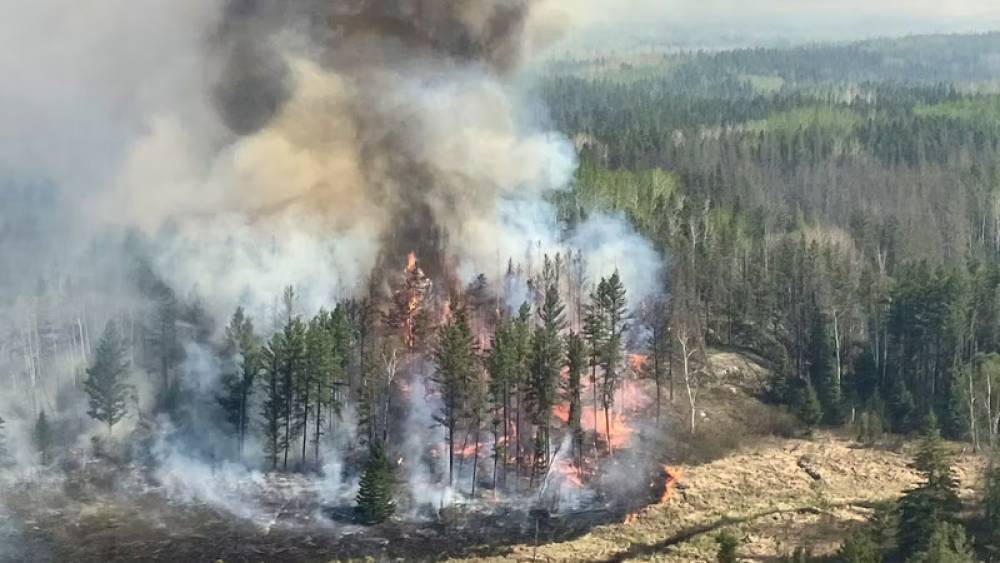 Feux de forêt au Canada: Plus de 21.000 personnes évacuées dans la province du Manitoba