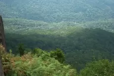 La DGSN et l’ANEF renforcent leur coopération pour protéger les forêts du Maroc