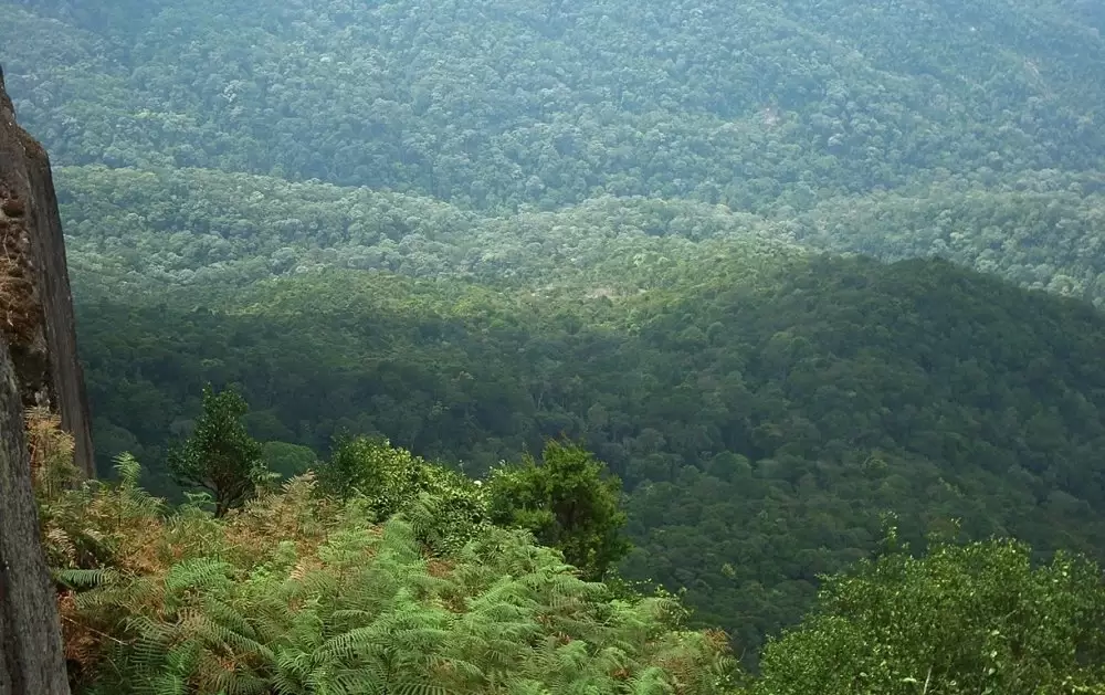 La DGSN et l’ANEF renforcent leur coopération pour protéger les forêts du Maroc