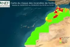 Feux de forêts : l’ANEF alerte sur un risque extrême dans plusieurs régions du Maroc