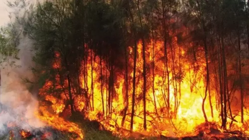 Maroc : 8 incendies maîtrisés en 24 heures, 20 hectares touchés (ANEF)