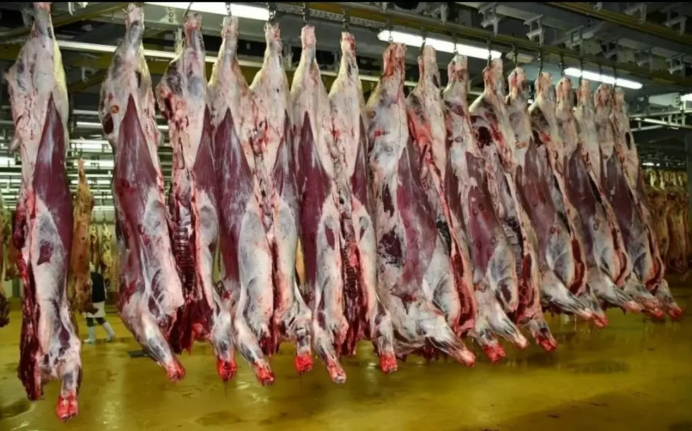 Les prix des viandes ovines flambent à Casablanca à l’approche de l’Aïd Al-Adha