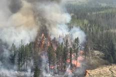Province d'Al Hoceima: L'incendie de la forêt "Thanda Ifran" circonscrit