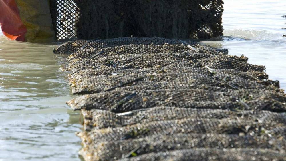 L'UE et la Côte d’Ivoire renouvellent leur partenariat dans le domaine de la pêche durable
