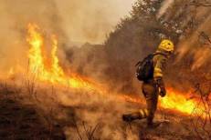 Feux de forêt en Espagne: les surfaces touchées en net recul en 2025 (ministère)